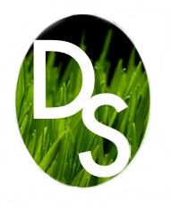divine scapes medallion clean1