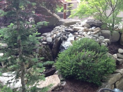 pond 1